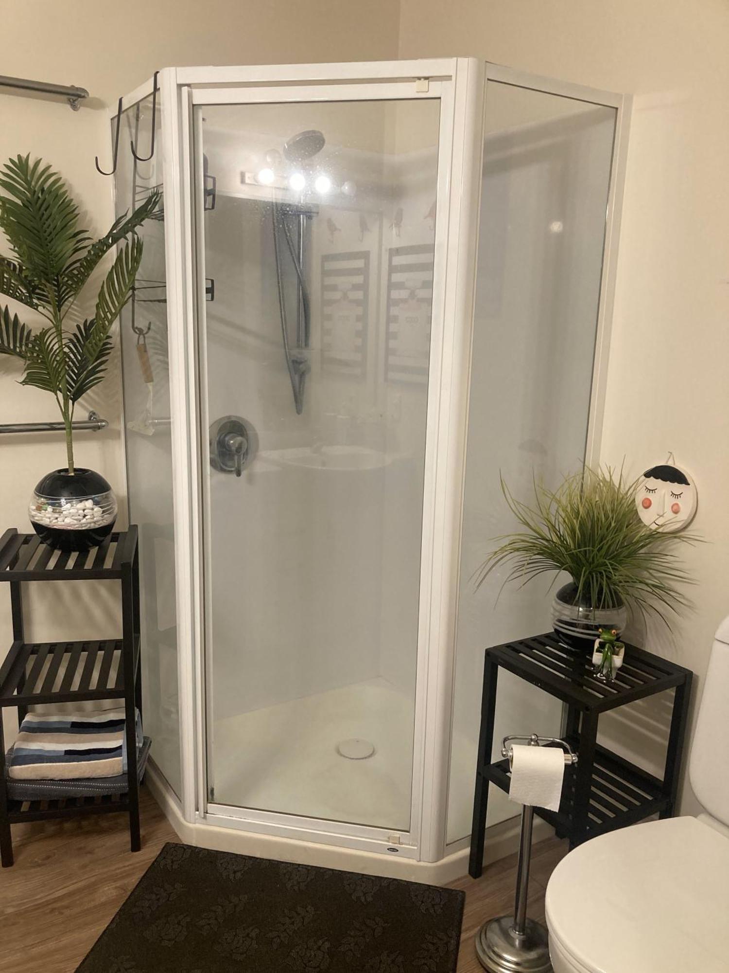 דירות מאונט מאונגאנוי Oceanside To Seaside 334 מראה חיצוני תמונה